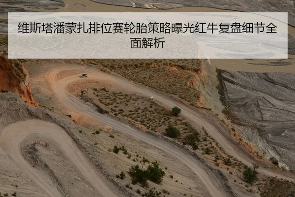 维斯塔潘蒙扎排位赛轮胎策略曝光红牛复盘细节全面解析