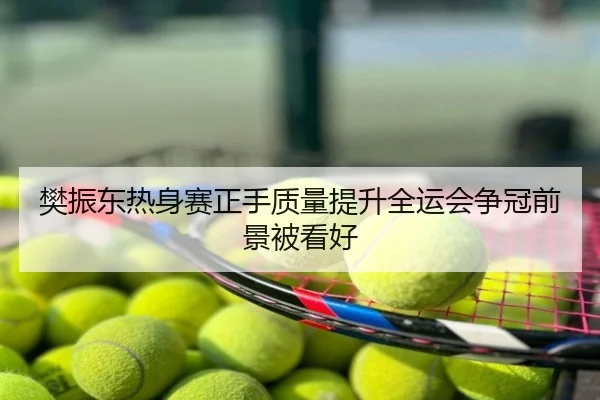樊振东热身赛正手质量提升全运会争冠前景被看好