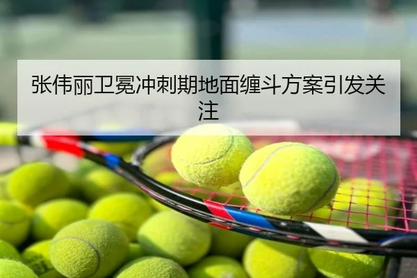 张伟丽卫冕冲刺期地面缠斗方案引发关注